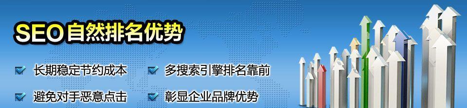 如何通过网站优化排名提升流量？（掌握这10个排名技巧，让你的网站飞速成长）