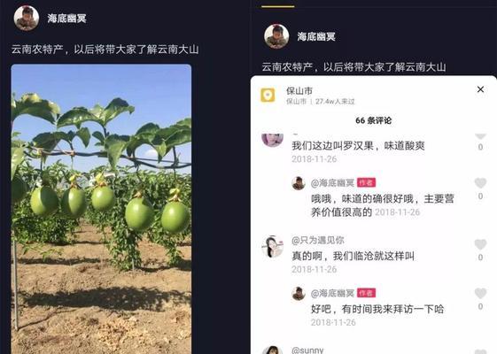 抖音12万浏览量有钱吗？（探究抖音视频创作和收益的真相，了解抖音创作者的生存现状）