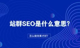 SEO新手必知的网站优化注意事项（从网站结构到内容优化，关注这些细节让你的网站更上一层楼）