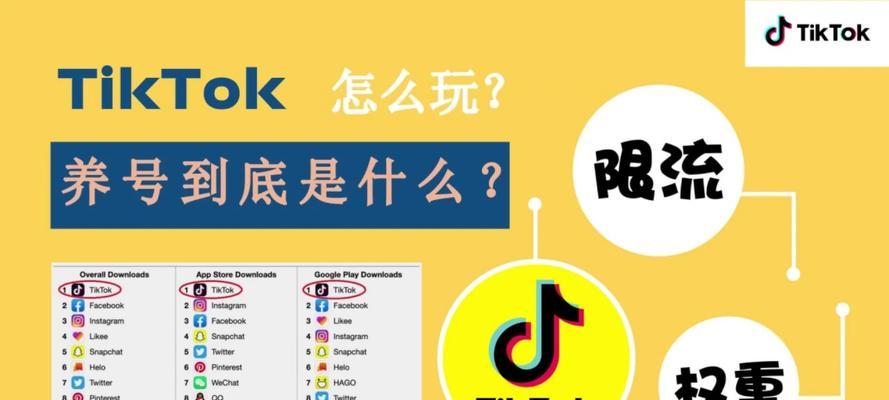 抖音海外版TikTok国内能用吗？（海外版TikTok在国内使用的限制和解决方案）