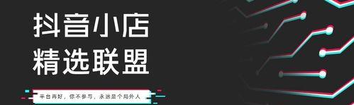 抖音号与抖音小店的区别解析（从功能、经营方式、盈利模式等方面详细比较）