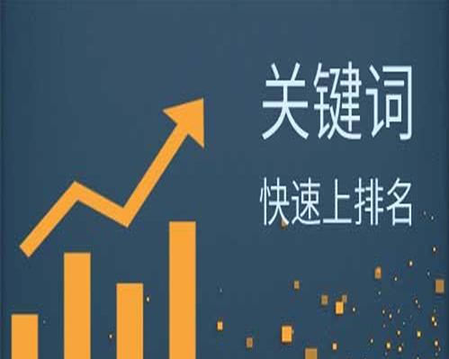 SEO优化全过程解析（从收录到排名，一步步教你做好优化）