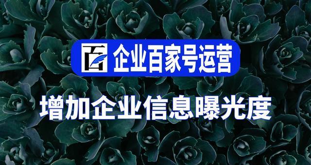 揭秘百家号一天赚100的真相（从零开始，用实际经验讲述百家号的赚钱之道）