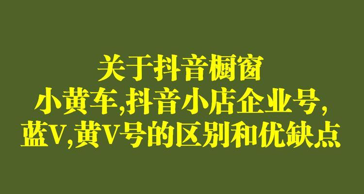 抖音黄V认证资料需求详解（了解抖音黄V认证所需准备的资料清单及注意事项）