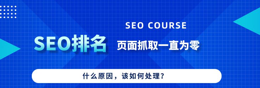 网站数据分析步骤及作用详解（从获取数据到优化用户体验，一步步掌握网站数据分析）