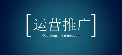 如何运用SEO技术和策略推广网站？（掌握SEO技术，打造高效网站推广策略）