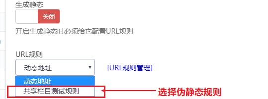 如何解决网站栏目出现多个URL地址的问题（有效避免重复内容对网站SEO的影响）