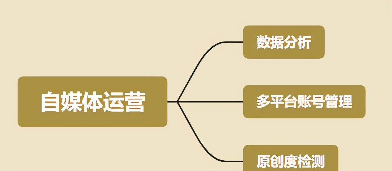 打造短视频营销新模式（实操教学带你掌握短视频运营技巧）