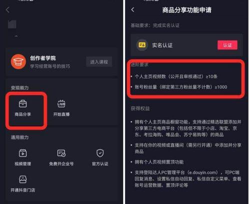 抖音电脑网页数据中心权限开通指南（详解如何设置和管理抖音电脑网页数据中心权限）