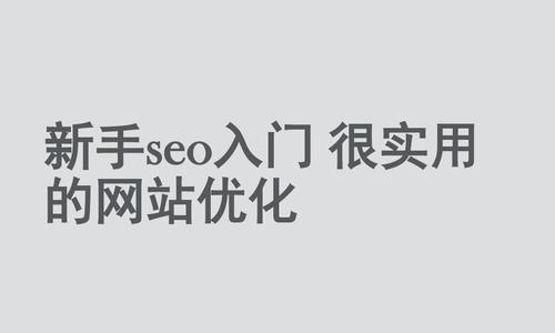 SEO单页面网站的优化策略（建立完美的单页面网站，提高网站的搜索排名）