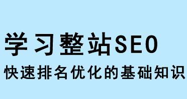 SEO专业术语详解（深入了解SEO术语，提升网站排名）