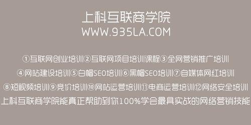 SEO高手如何写出优质文章？（从套路到规律，掌握这些技巧让你文章更上一层楼）