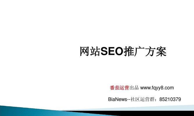 SEO研究与分析（掌握技巧，轻松成为搜索引擎排名达人）