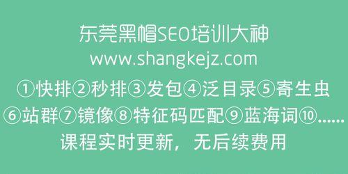 不只是黑帽SEO技术可快速提高排名（探究利用社交媒体和网站优化技术提高排名的方法）