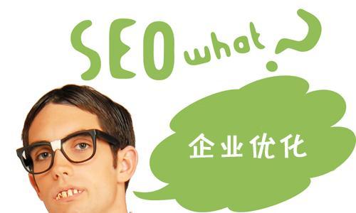 SEO优化实践案例（实际操作中的有效方法与技巧）