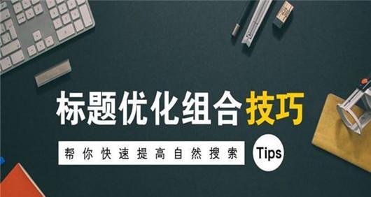 优化SEO，提高网站排名技术解析（掌握SEO技巧）