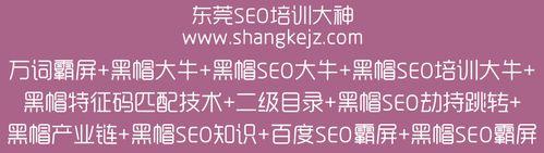 了解不只是黑帽SEO技术可快速提高排名的秘密（揭示SEO技术的真相）