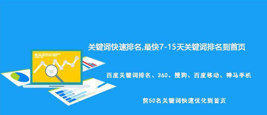 优化报价明细详解（让您的网站更受欢迎）