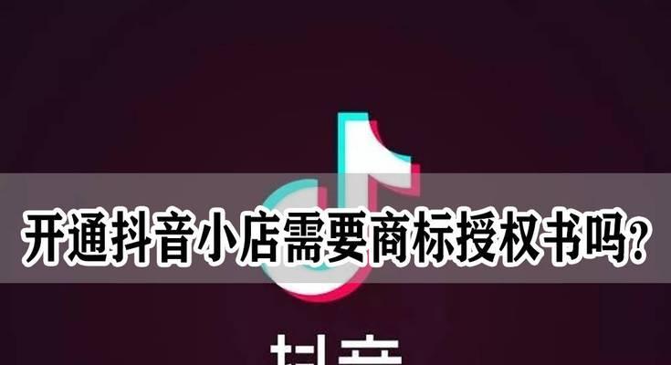 抖音电商（掌握抖音电商付费推广功能）