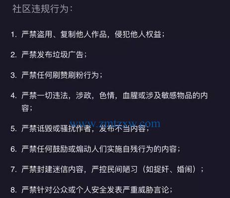 深入了解抖音官方旗舰店认证，带你认识真正的优质店铺（掌握认证标准）