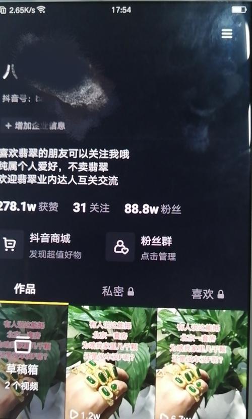 探究抖音个人认证的最佳领域（如何通过抖音个人认证获得更多曝光）