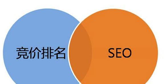 如何提升网站的SEO排名（掌握SEO技巧）