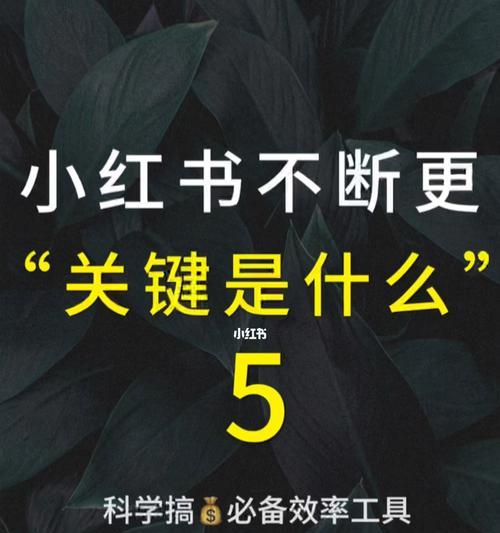 小红书付费推广真的有用吗（揭秘小红书推广的利弊）