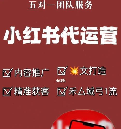 小红书数据异常状态解除教程（手把手教你解决小红书数据异常问题）