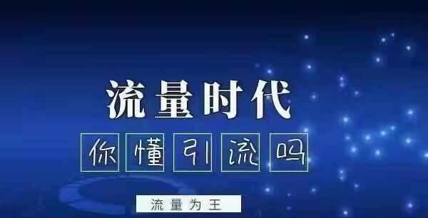 精准流量获取玩法——百度SEO实战指南（实用技巧分享）