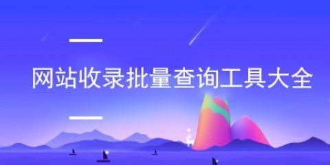 百度索引量不稳定原因分析（从网站质量到算法更新）