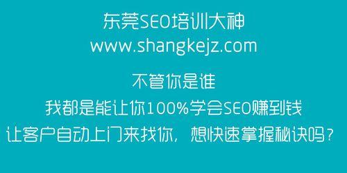 快照排名优化公司的选择（如何选择最佳快照排名优化公司）