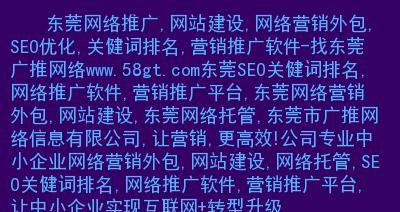 如何优化分类信息网站的SEO（掌握分类信息网站的优化技巧）