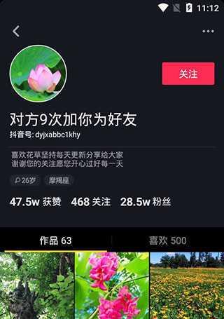 抖音极速版有访客记录吗？如何查看和管理访问数据？