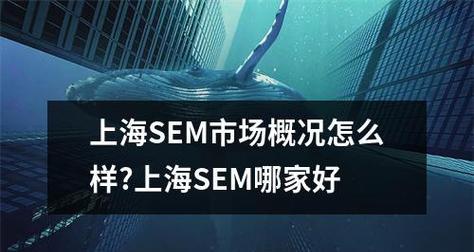 上海seo优化效果如何评估？需要多长时间见效？