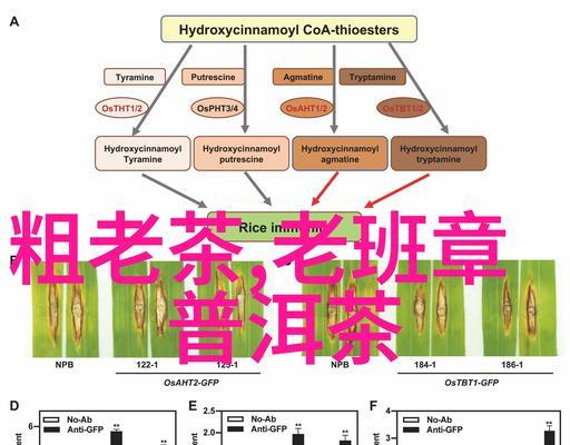 百度seo排名如何提升？百度seo排名中常见的问题有哪些？