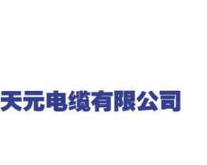 阳谷网站建设哪家公司好？如何选择性价比高的网站建设服务？